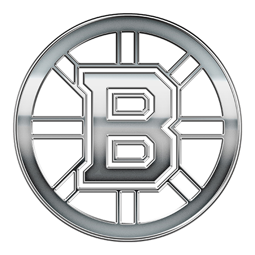 Boston Bruins Silver Logo iron on paper